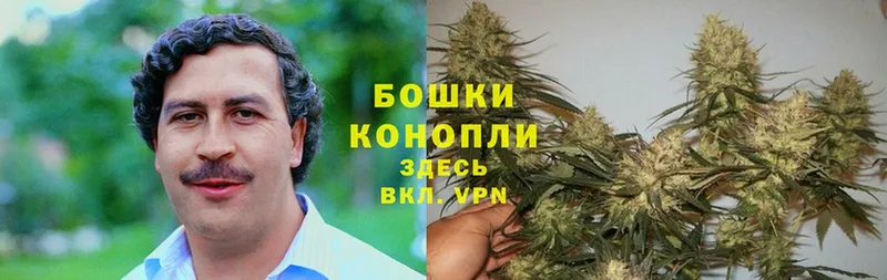 Каннабис THC 21%  продажа наркотиков  Людиново 